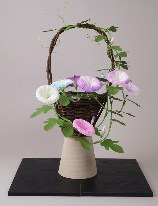 牽牛花（kengyuuka）